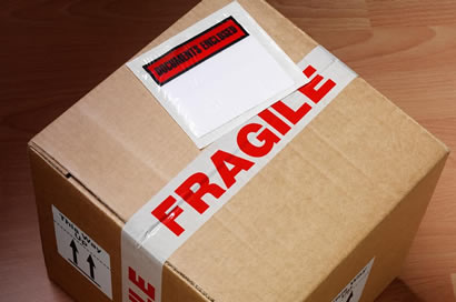 social-resposibility